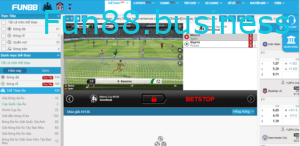 Cá độ thể thao ảo